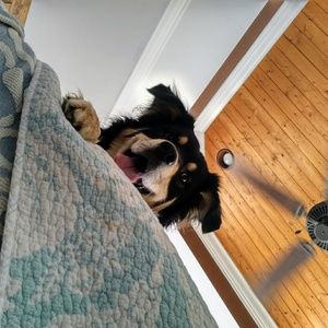 Meet your Posher, John